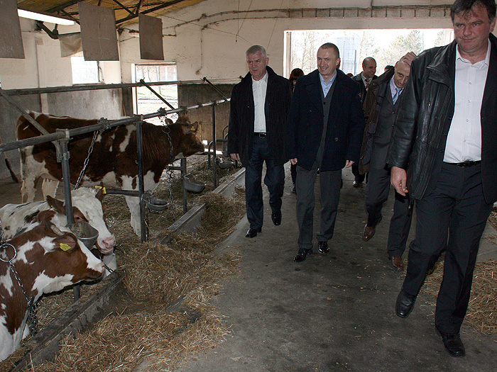 01032012_Pajtic_Gakovo%20ms