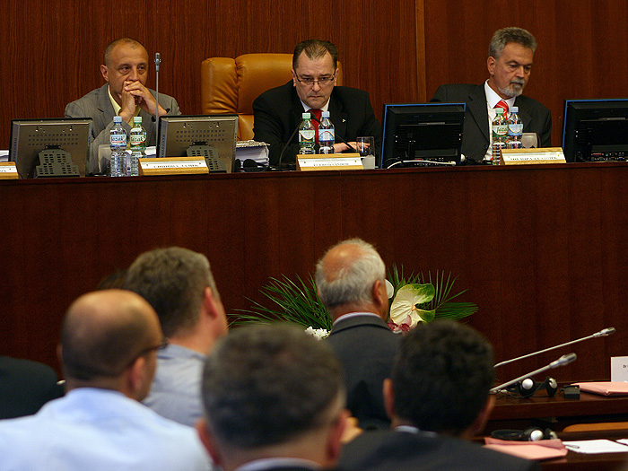 01062011_29_sednica_skupstine%20ms