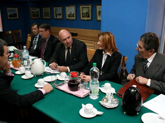 02122011_cengeri_ms