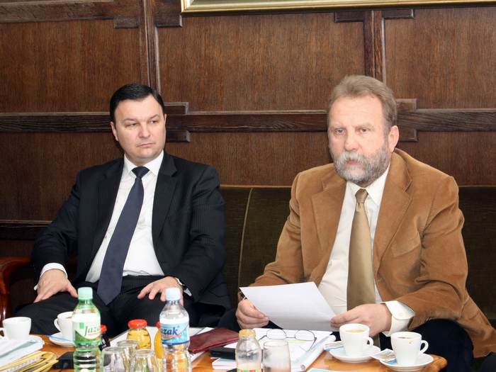 04032011_strikovic_ms