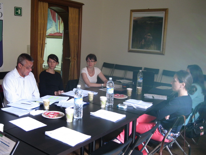 04072011_sedlarevic_ms