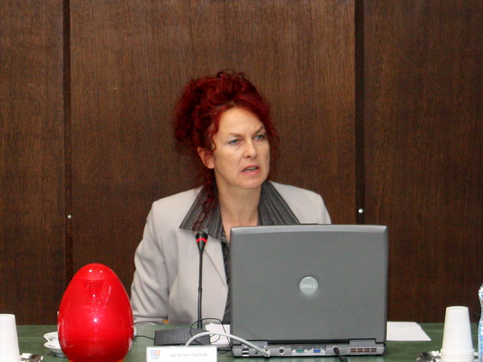 04112009_ivv_ms