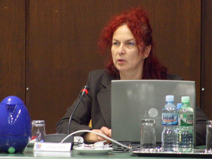 06102010_Sednica_Vlade%20ms