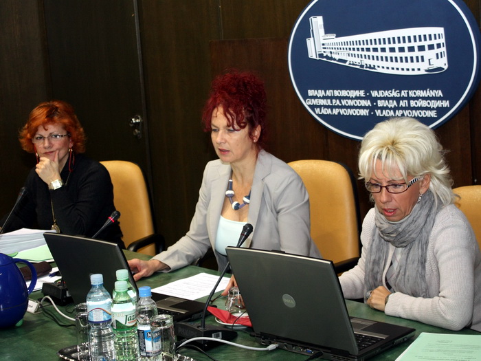 06122011_vlada_ms