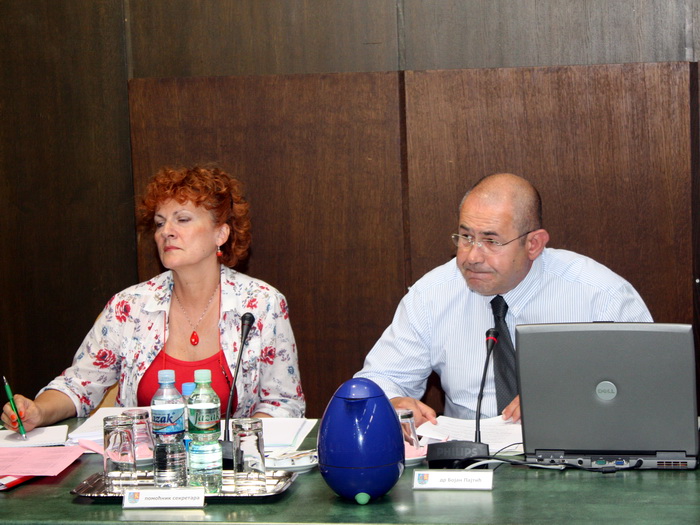 07072010_vlada_ms
