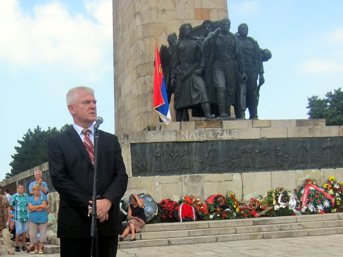 07072013_vasin_ms