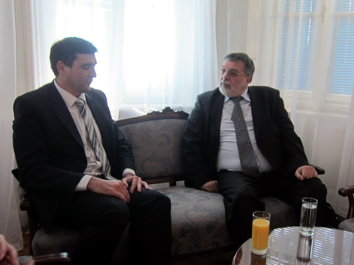 07122012_grujic_ms
