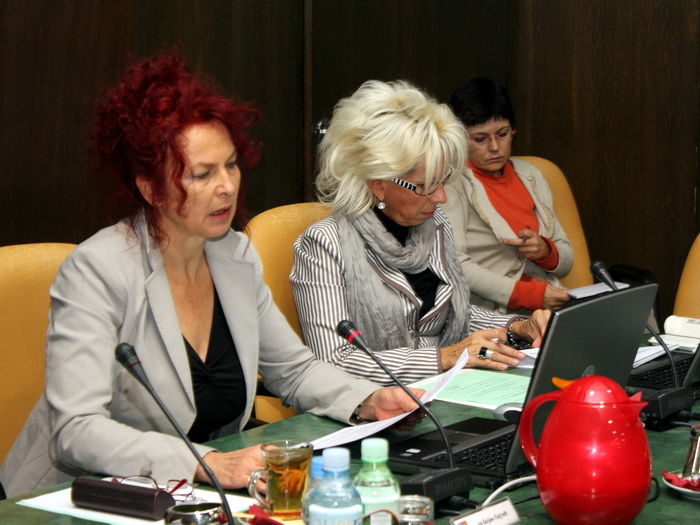 09112011_vlada_ms
