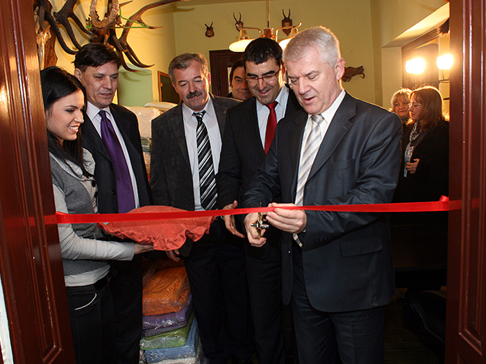 10022012_Vasin_Beocin_Cerevic%20ms