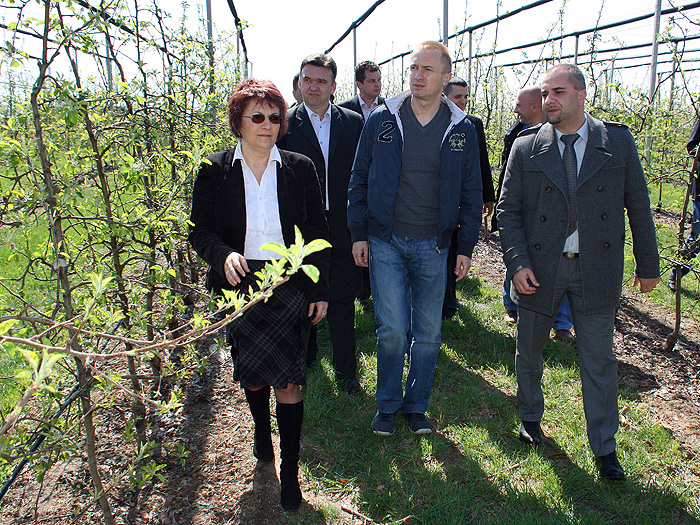10042012_Pajtic_vocnjak_B_Crkva%20ms