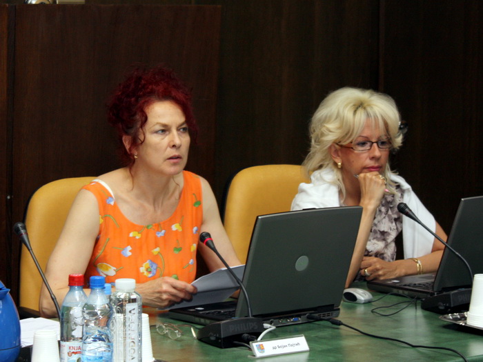 10062009_ivv_ms