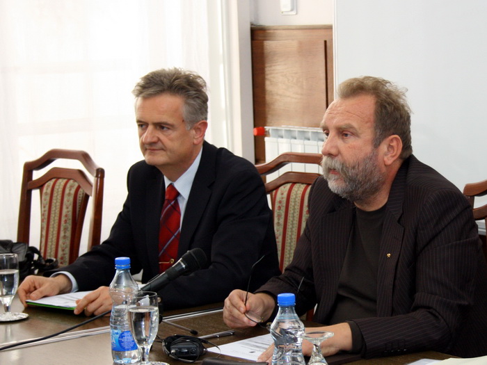 11112010_strikovic_ms