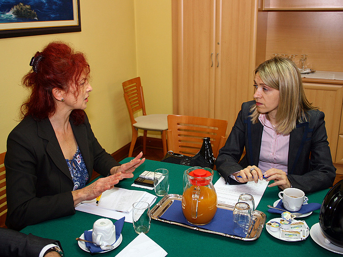 12102010_sastanak_strategija%20ms