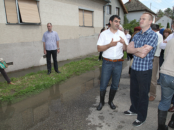 13062013_Pajtic_cerevic%20ms