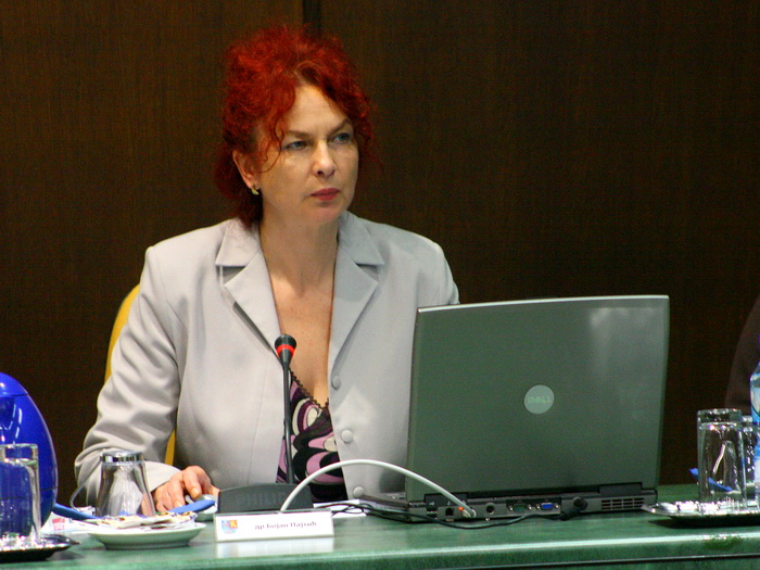 13102010_vlada_ms