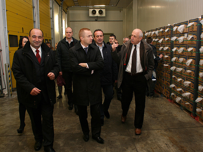 14122011_Pajtic_pogon_MDD%20ms