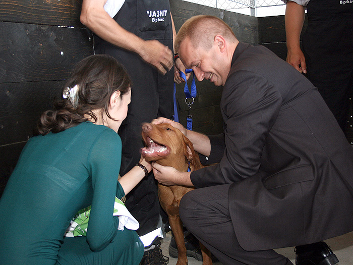 16062011_Pajtic_azil_Vrbas%20ms