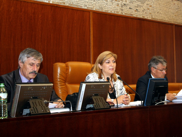 16062011_javna_rasprava_ms