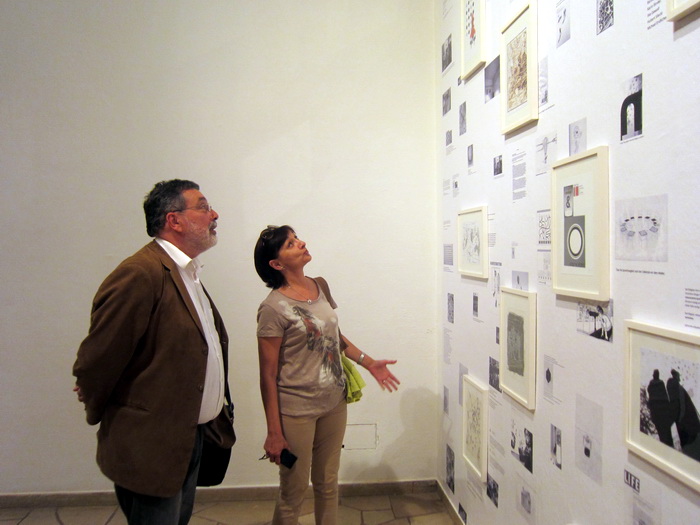 17072013_grujic_ms