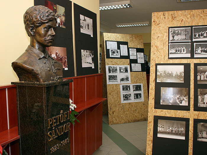 17112011_Pajtic_petefi%20ms