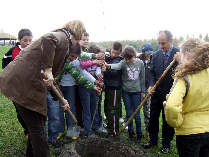 20042010_puzovic_ms