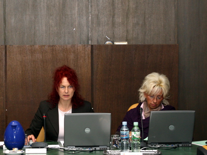 20102010_vlada_ms