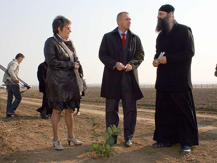 20102011_Pajtic_aronija_kovilj%20ms