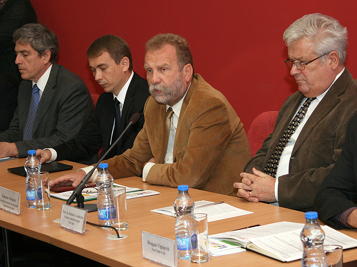 20102011_Strikovic_pres_energetika%20ms