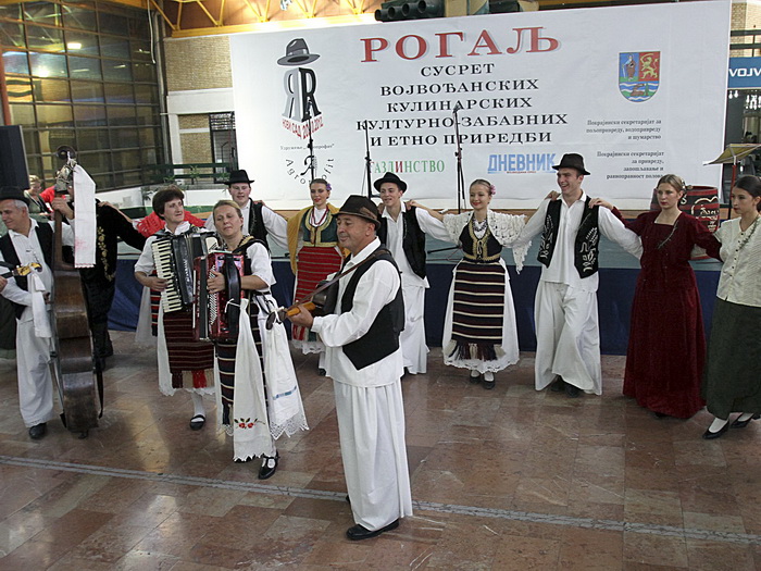 20102012_vasin_ms
