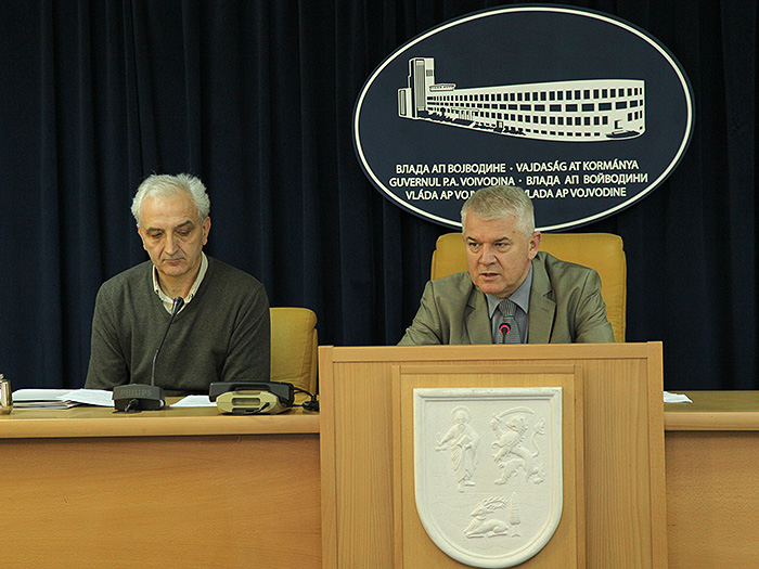 21012013_Vasin_pres%20ms
