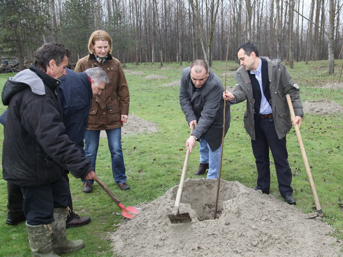 21032013_sumarstvo_ms