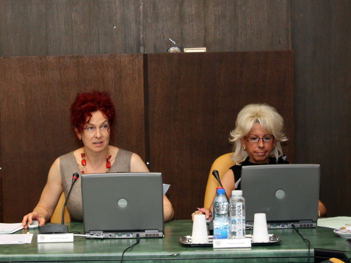 22072009_ivv_ms