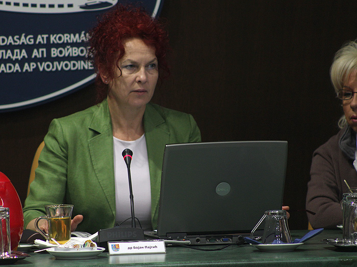 23052012_sednica_vlade%20ms