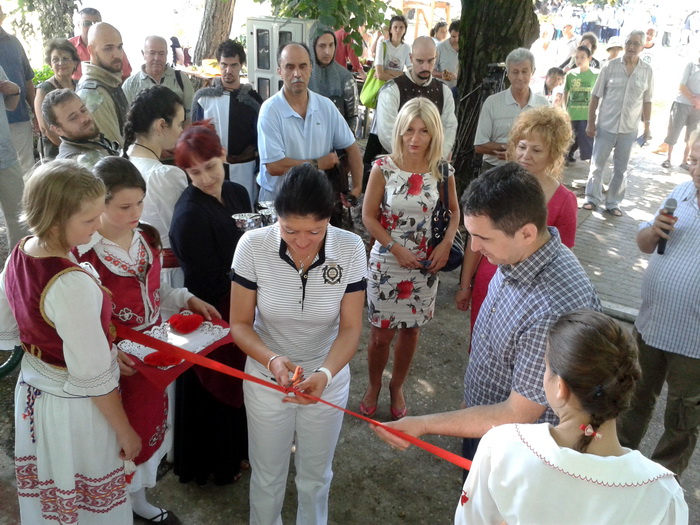 24062013_kopitovic_ms