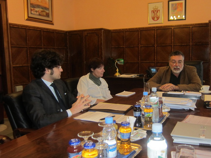 25062013_grujic_ms