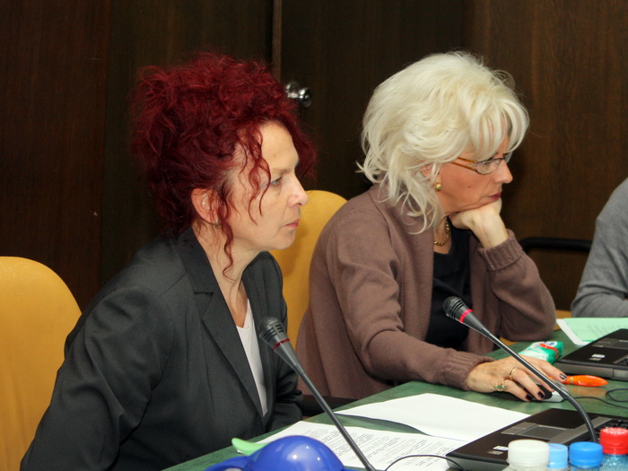 25112009_ivv_ms