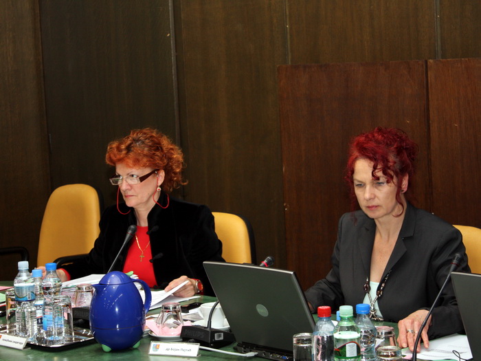 28042010_vlada_ms