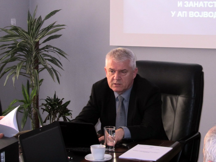 30012013_Vasin_Petrovac_ms