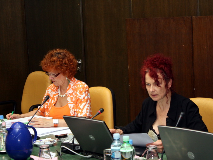 30062010_sednica_ms