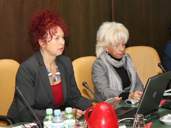 30112011_vlada_ms