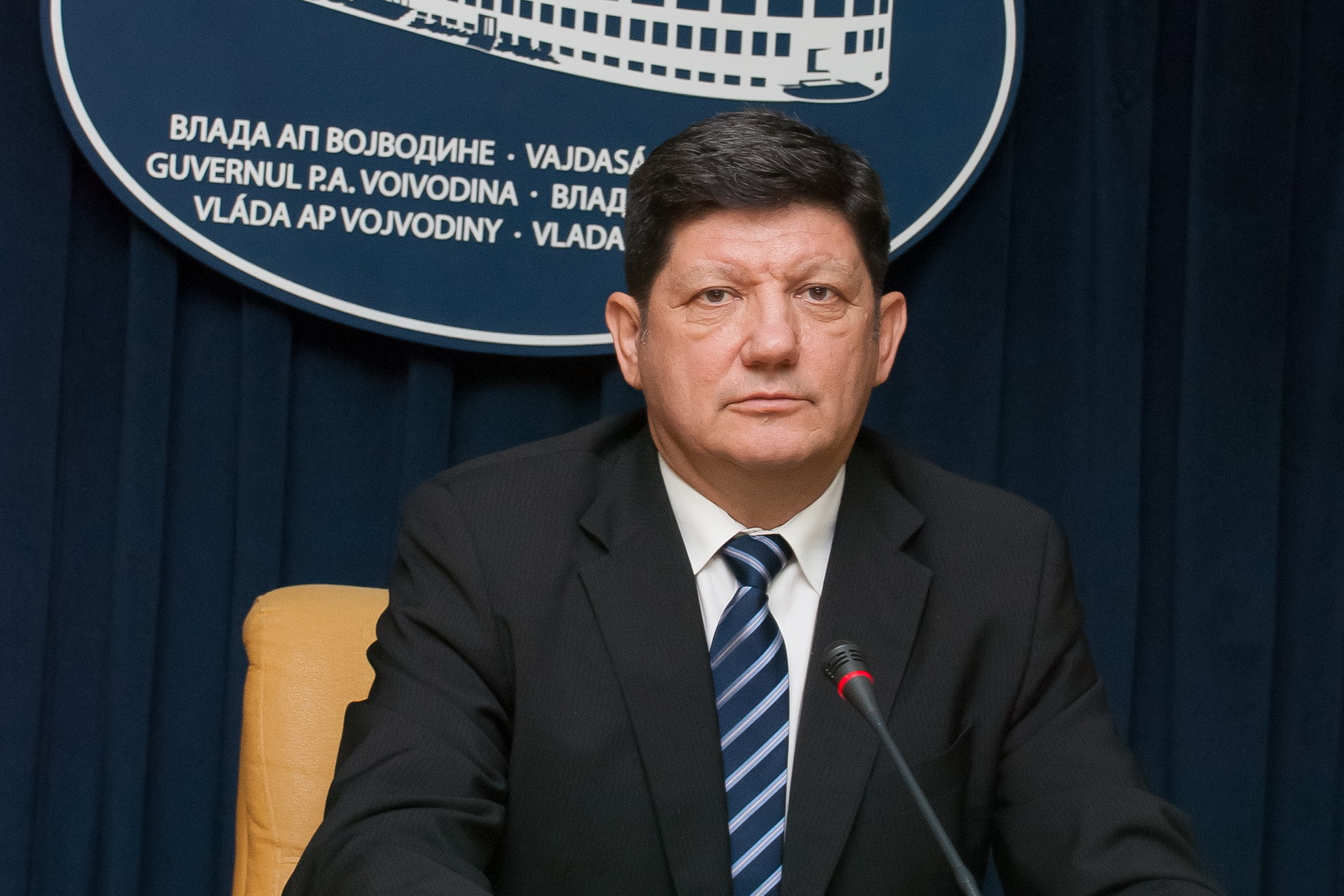 31012013_Zoran_Radoman