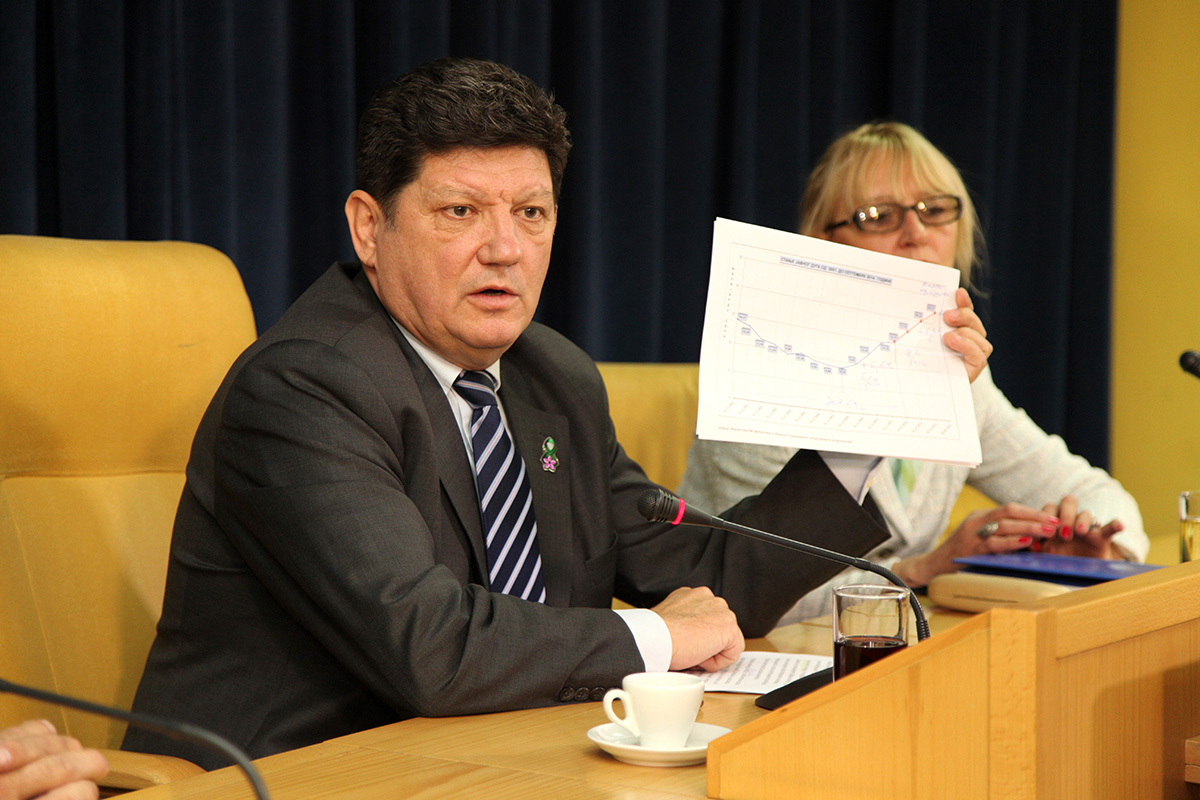 06112014_Radoman_pres 01