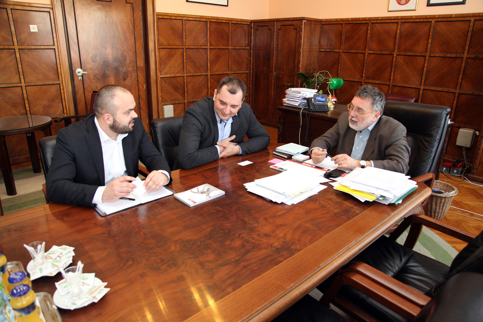 06042015_Grujic_NSCg 01