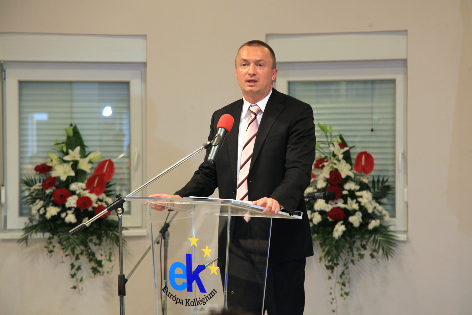 20112015_Pajtic_Europa_dom 01