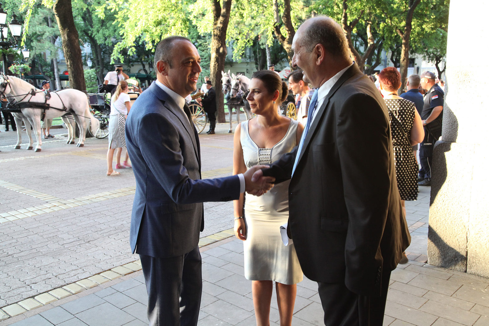 15082017_Milicevic_duzijanca 01