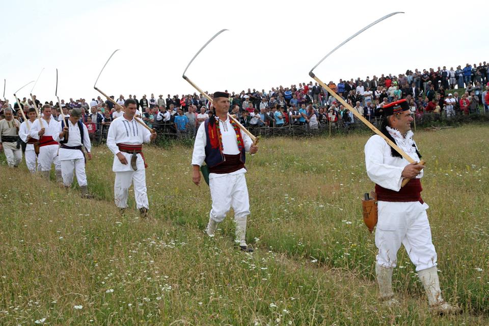kosidba