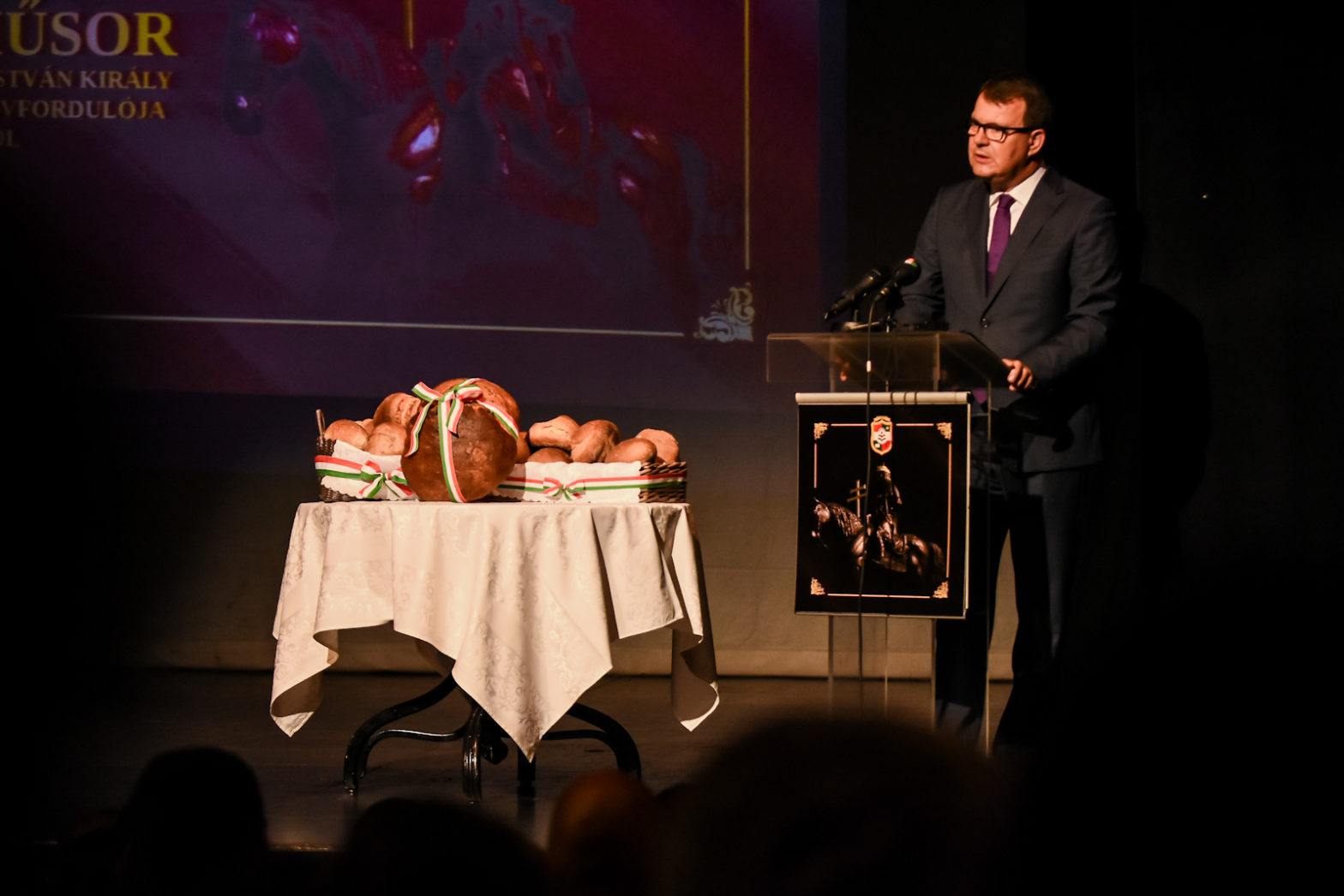 20082018 - Mirovic, ujvidek sinhaz-11