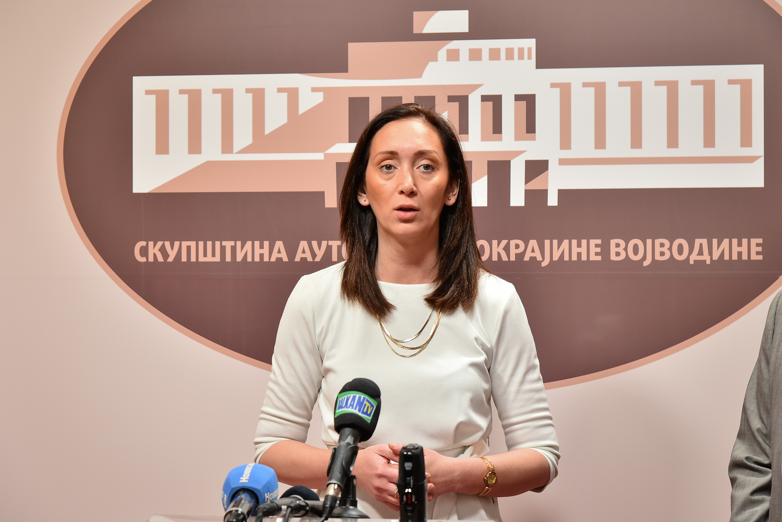 Javna rasprava o Nacrtu zakona o izmenama i dopunama Zakona o kulturi (1)