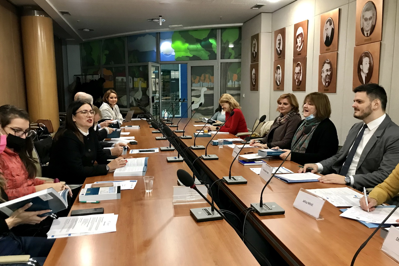 Софић на састанку Радне групе Националног конвента о Европској унији