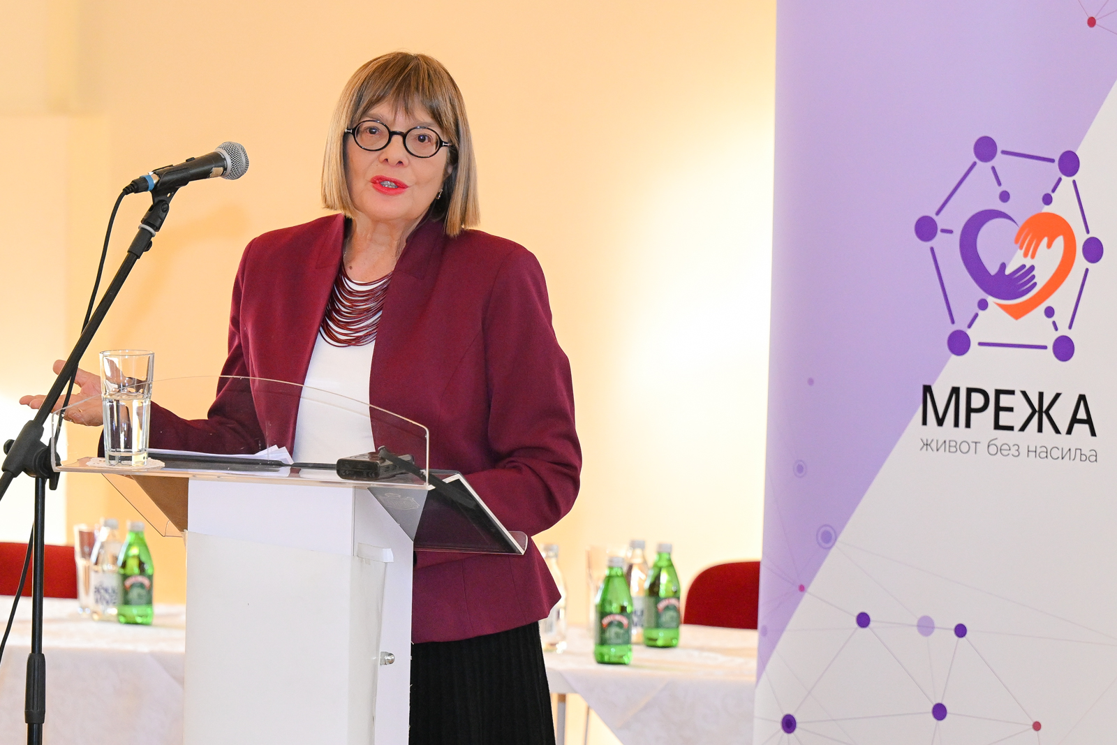 Маја Гојковић: Двадесет година борбе за друштво без насиља